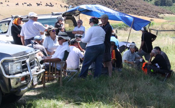 Gisborne in the Shade